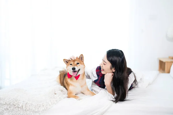 あの女は白い寝室で犬と遊んでる — ストック写真