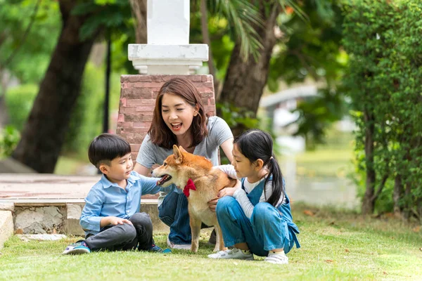 Rodina Matku Dceru Syna Kteří Hrají Psy Shiba Inu Parku — Stock fotografie