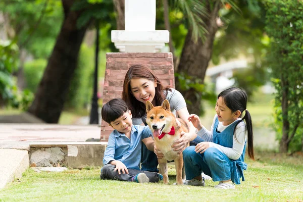 Семьи Мать Дочь Сын Играющие Собаками Сиба Ину Парке Азиатская — стоковое фото