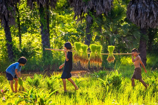 Três Meninos Meninas Brincando Nos Campos Durante Temporada Agrícola Modo — Fotografia de Stock