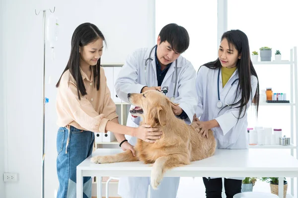 Veterinarios Dueños Perros Están Comprobando Salud Del Perro Del Golden —  Fotos de Stock