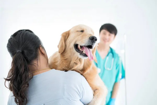 ゴールデンレトリバー犬の所有者 病気の犬を運ぶ良い意味で獣医に行く 退役軍人と犬の所有者はゴールデンレトリバーの犬の健康をチェックしています — ストック写真