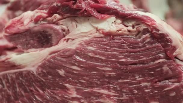 Carne Vaca Alta Qualidade Uma Sala Limpa — Vídeo de Stock