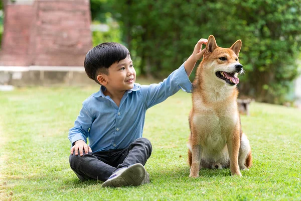 Ένα Αγόρι Παίζει Ένα Σκυλί Σίμπα Ινού Στο Πάρκο — Φωτογραφία Αρχείου