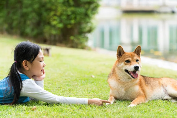 Una Chica Asiática Está Jugando Con Perro Parque Chica Shiba —  Fotos de Stock