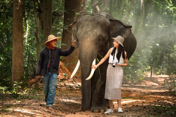 Asiatka Kráčí Slonem Mahoutem Lese Cestovní Ruch Asijské Ženy Drží — Stock fotografie