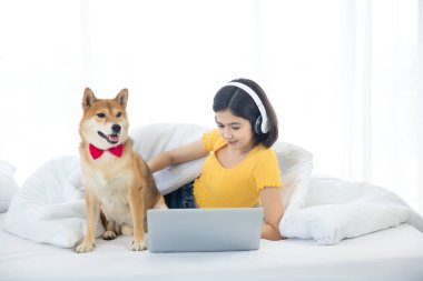 Bir kız odasında Shiba Inu olan bir dizüstü bilgisayar kullanıyor..