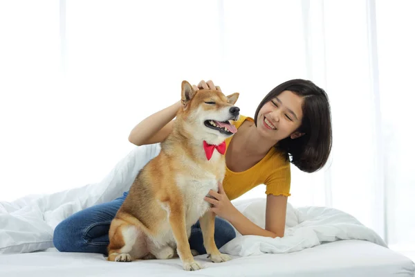 朝の日差しの窓のある白い寝室で芝犬と遊んでいる女の子 — ストック写真