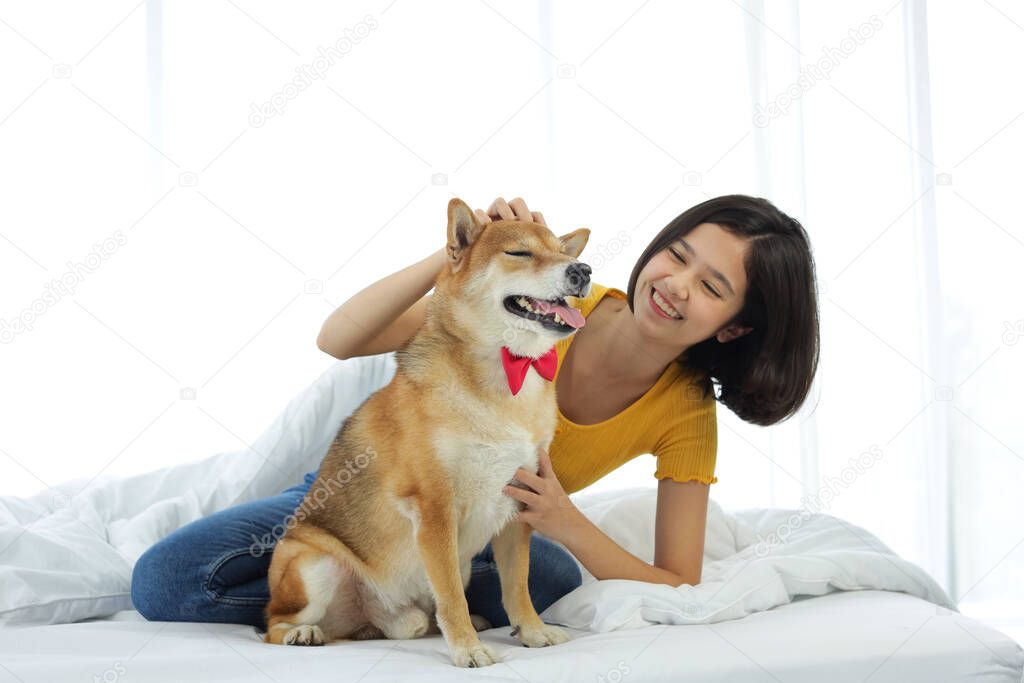 A girl playing with a Shiba Inu in a white bedroom with a morning sunshine window.