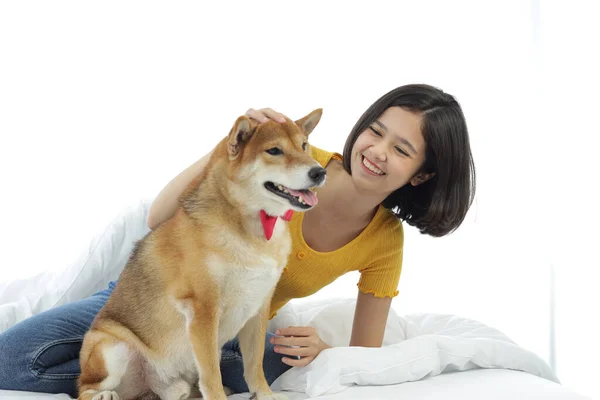 白いベッドで犬と遊んでいる女の子 黄色いシャツを着た女性がいる柴犬 — ストック写真