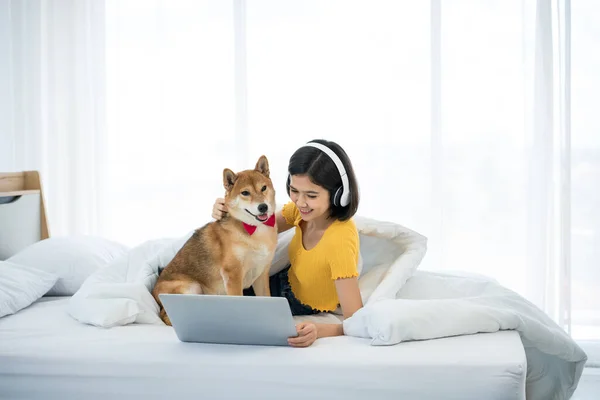 映画を見て 芝犬とベッドでノートパソコンから音楽を聴く若い女性 — ストック写真
