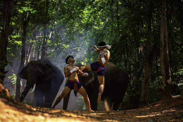 Ударь Коленом Тайские Боксеры Дерутся Джунглях Слонами Боксерские Бои Слонами — стоковое фото