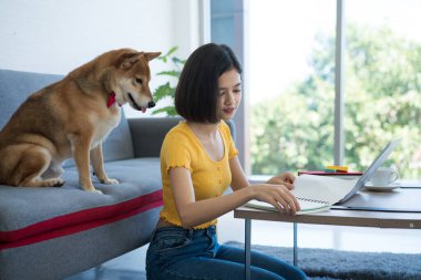 Shiba Inu ve dizüstü bilgisayarlı bir kız..
