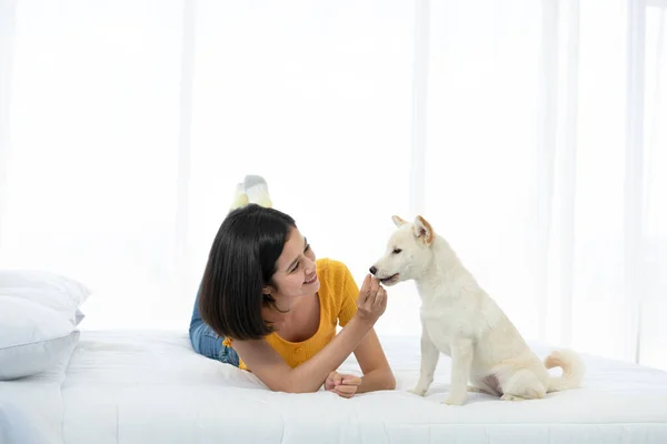 Eine Asiatin Füttert Einen Weißen Shiba Inu Hund — Stockfoto