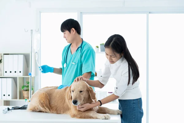 獣医師とゴールデンレトリバー犬の所有者動物病院で — ストック写真