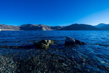 Pangong Gölü 'ndeki güzel kayalık plaj, dünyanın en yüksek gölü, Ladakh, Hindistan..