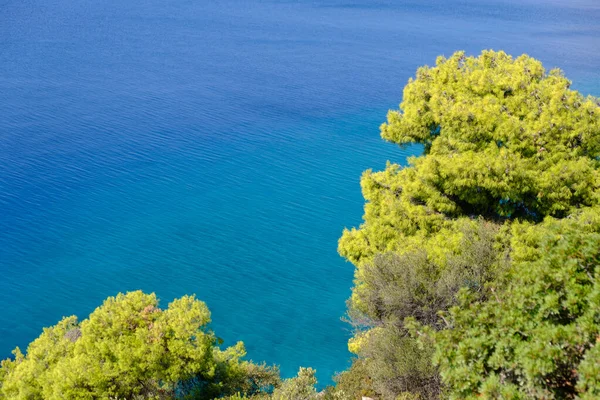 Turkuaz mavi su ve yeşil çam ağacı manzarası