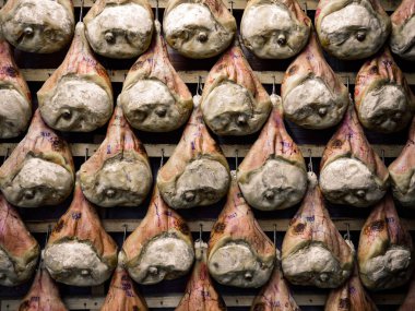 Uyluk jambon bir mahzende asılı Kavurma işlemi sırasında.