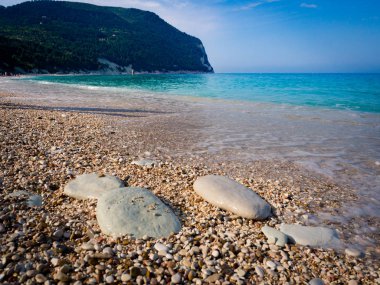 The wonderful and uncontaminated pebble beach in Sirolo, mount Conero, Italy. clipart