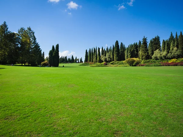 Stor Grön Gräsmatta Vid Kanten Skogen Våren — Stockfoto