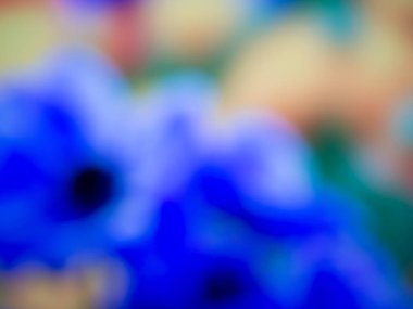 Çiçekli bir çayır temsil eden renkli arka plan.