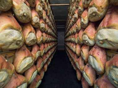 Thighs of ham during the curing process hanging in a cellar. clipart