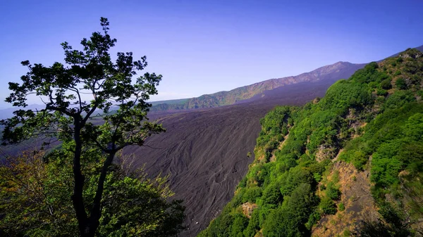 Etn の火山の斜面で石化溶岩流観 — ストック写真