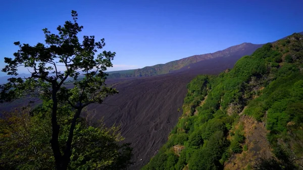 イタリアのエトナ火山の斜面で石化溶岩流観 — ストック写真