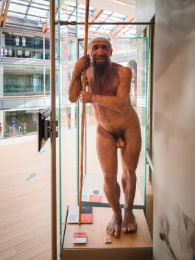 Trento, İtalya - 11 Kasım 2017: Balmumu heykeller ilkel insanın Trento, İtalya'nın Bilim Müzesi'nde.