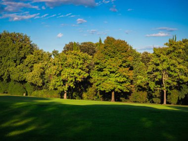 Ağaçlar ve ilkbaharda çayırlar. 