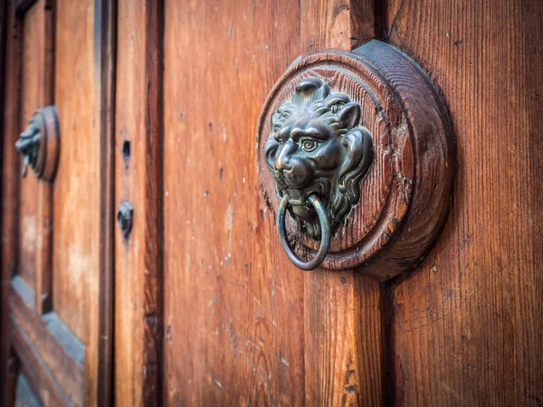 Antique door knocker shaped lion's head. — Stock Photo, Image