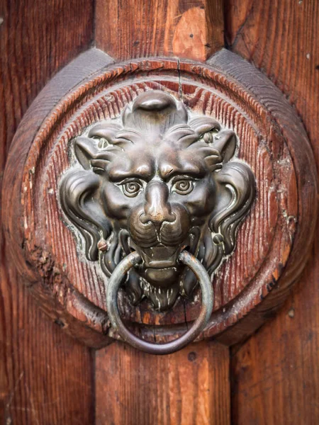 Antik ajtón kopogtató lion's head alakú. — Stock Fotó