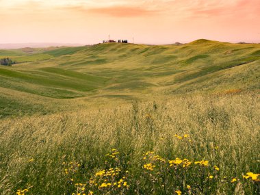 Gün batımında Toskana tepelik manzara.