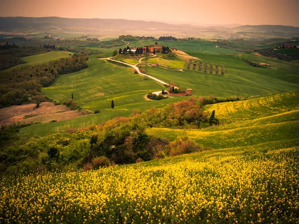 Tuscan hilly landscape at sunset. — Stock Photo, Image