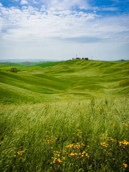 Paesaggio toscano in primavera . — Foto Stock