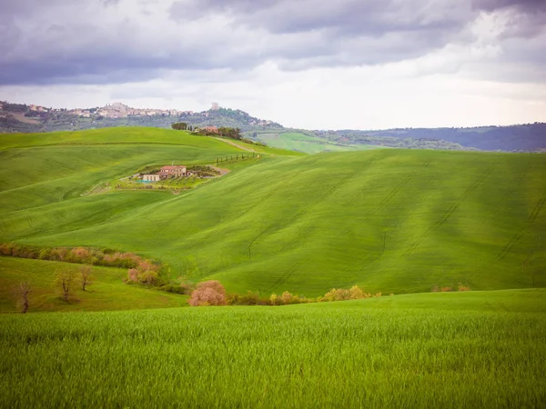 Landschaft im Frühling. — Stockfoto