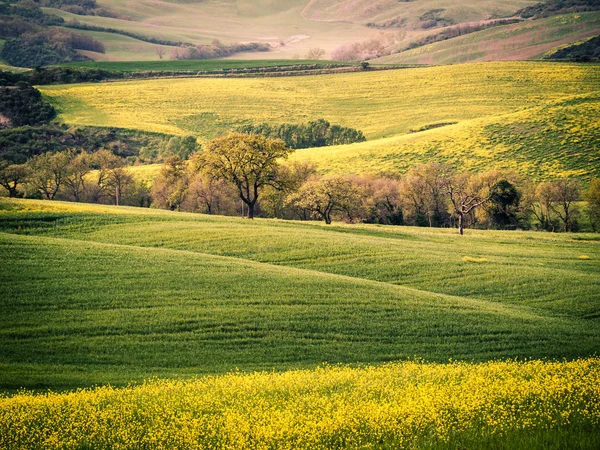 Landskap under våren. — Stockfoto