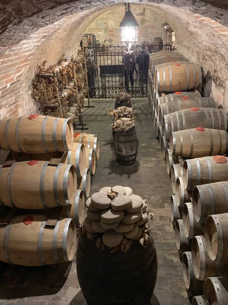 오래된 지하 와인 저장고의 오크 배럴. — 스톡 사진