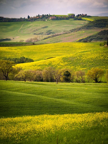 Paesaggio in primavera . — Foto Stock