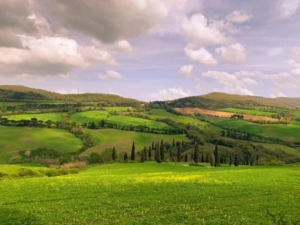 Paesaggio in primavera . — Foto Stock