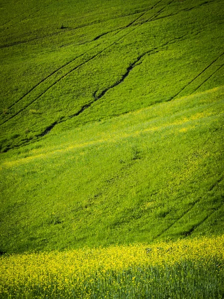 Landskap under våren. — Stockfoto
