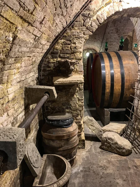 Δρύινα βαρέλια σε μια παλιά υπόγεια κάβα κρασιών. — Φωτογραφία Αρχείου