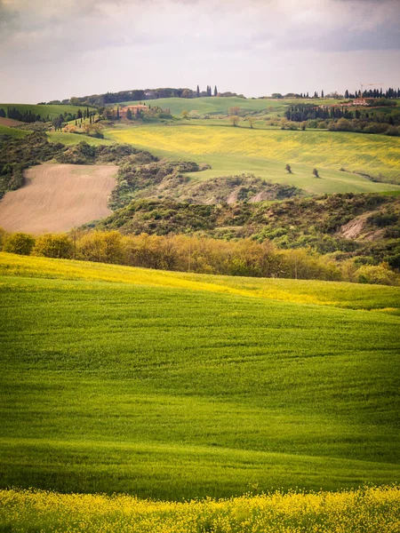 Paesaggio in primavera . — Foto Stock