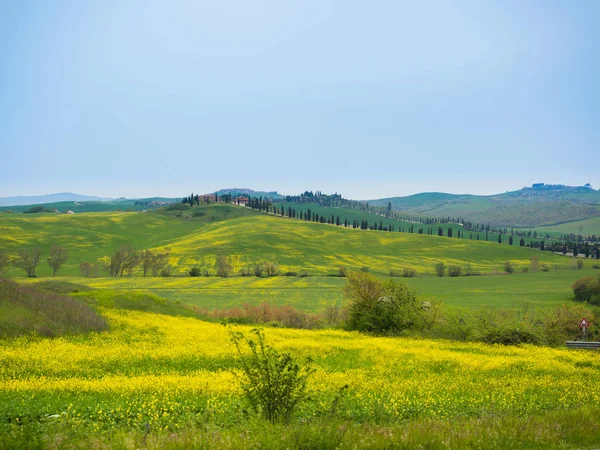 Landschaft im Frühling. — Stockfoto