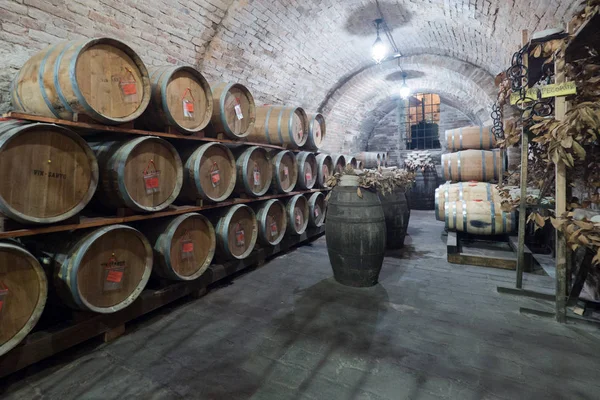 Eski bir yeraltı şarap mahzeninde meşe varil.
