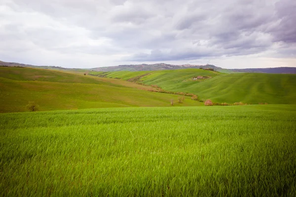 Landskap under våren. — Stockfoto