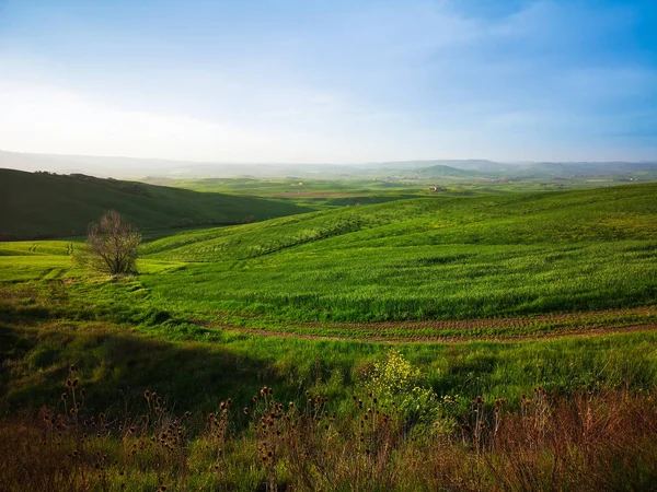 Paesaggio in primavera . — Foto Stock