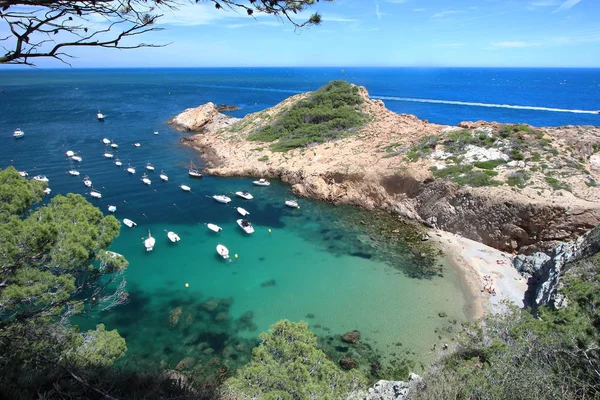 Eixugador Kis Strand Gyönyörű Falu Beach Tonhal Costa Brava Földközi — Stock Fotó