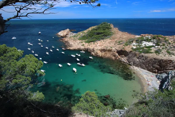 Eixugador Petite Plage Proche Beau Village Plage Tuna Costa Brava Photos De Stock Libres De Droits