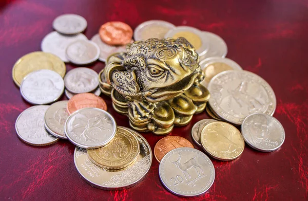 Üç parmaklı bozuk paralı kurbağa.